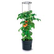 Prosperplast ZA1391