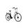 Protour E-Citybike RC820