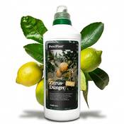 Proviplant Zitrusdünger