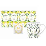 Pukka Bio-Kräutertee Feel Fresh