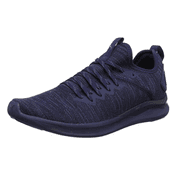 Puma Herren Ignite Flash Evoknit Cross-Trainer Vergleich