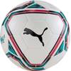 Puma teamFINAL 21