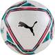 Puma teamFINAL 21 Vergleich