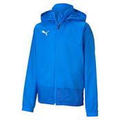 Puma teamGOAL 23 Vergleich