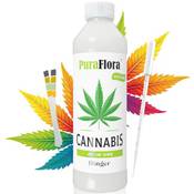 PuraFfora Cannabis Dünger Vergleich