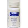 Pure Pycnogenol