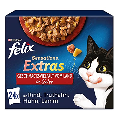 Felix-Katzenfutter Test und Vergleich 2026 | WELT.de