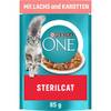 Purina One 12500040