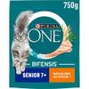 Purina One Senior 7+
