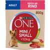 Purina ONE Adult