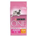 Purina One Junior
