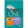 Purina One Coat & Hairball