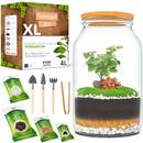 Pyef Crafts Flaschengarten Komplettset XL