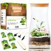 Pyef Crafts Terrarium Kit