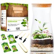 Pyef Crafts Terrarium Kit