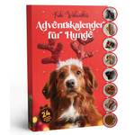 Q honey Hunde-Adventskalender (2025)