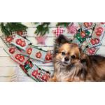 Qchef Adventskalender