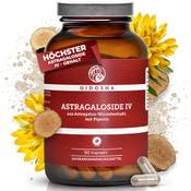 Qidosha Astragaloside IV