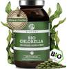 Qidosha Bio Chlorella