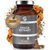Qidosha Chaga Extrakt