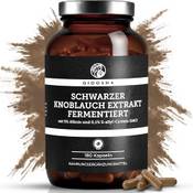 Qidosha Schwarzer Knoblauch Extrakt
