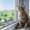 Qilucky Katzenschutznetz