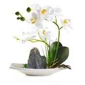 Qucover Künstlichen Orchideen Vergleich
