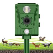 Queath Tauben-Schreck Vergleich