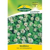 Quedlinburger 202702 Vergleich