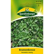 Quedlinburger 492742