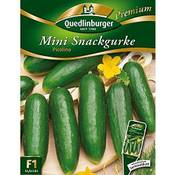 Quedlinburger Mini Snackgurke Picolino Vergleich