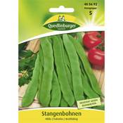 Quedlinburger Saatgut Hilda 405692 Vergleich