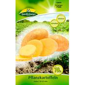 Quedlinburger Saatgut Pflanzkartoffeln Linda Vergleich