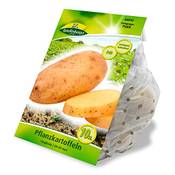Quedlinburger Pflanzkartoffeln Vergleich