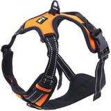 rabbitgoo Hundegeschirr