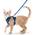 rabbitgoo Katzen-Softgeschirr