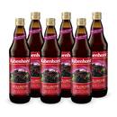 Rabenhorst   Holunder Muttersaft