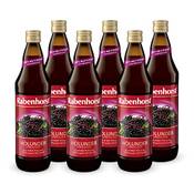Rabenhorst   Holunder Muttersaft