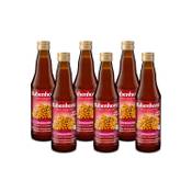 Rabenhorst Sanddorn Muttersaft
