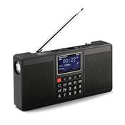 Radioddity Raddy RD33 Vergleich