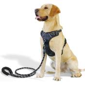 Raining Pet Y-Geschirr für Hunde Vergleich