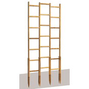 robinia Rankgitter Vergleich