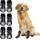 Ranypet Hundesocken