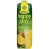 Rauch Happy Day Ananassaft