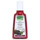 Rausch Aronia Anti-Grau Shampoo Vergleich