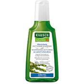 Rausch Meerestang Fett-Stopp Shampoo Vergleich