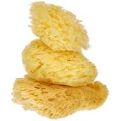 Rayher Naturschwamm