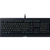 Razer Cynosa Lite Vergleich