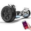 Hoverboard (Gelände)