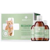 Recoactiv Recovery Immun für Katzen